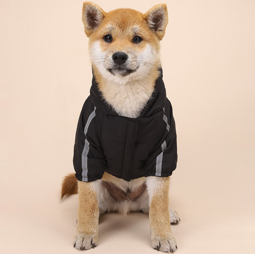 TNF-hoodie luxury design