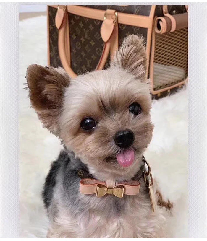 LL Designer Bow Dog Collar Set