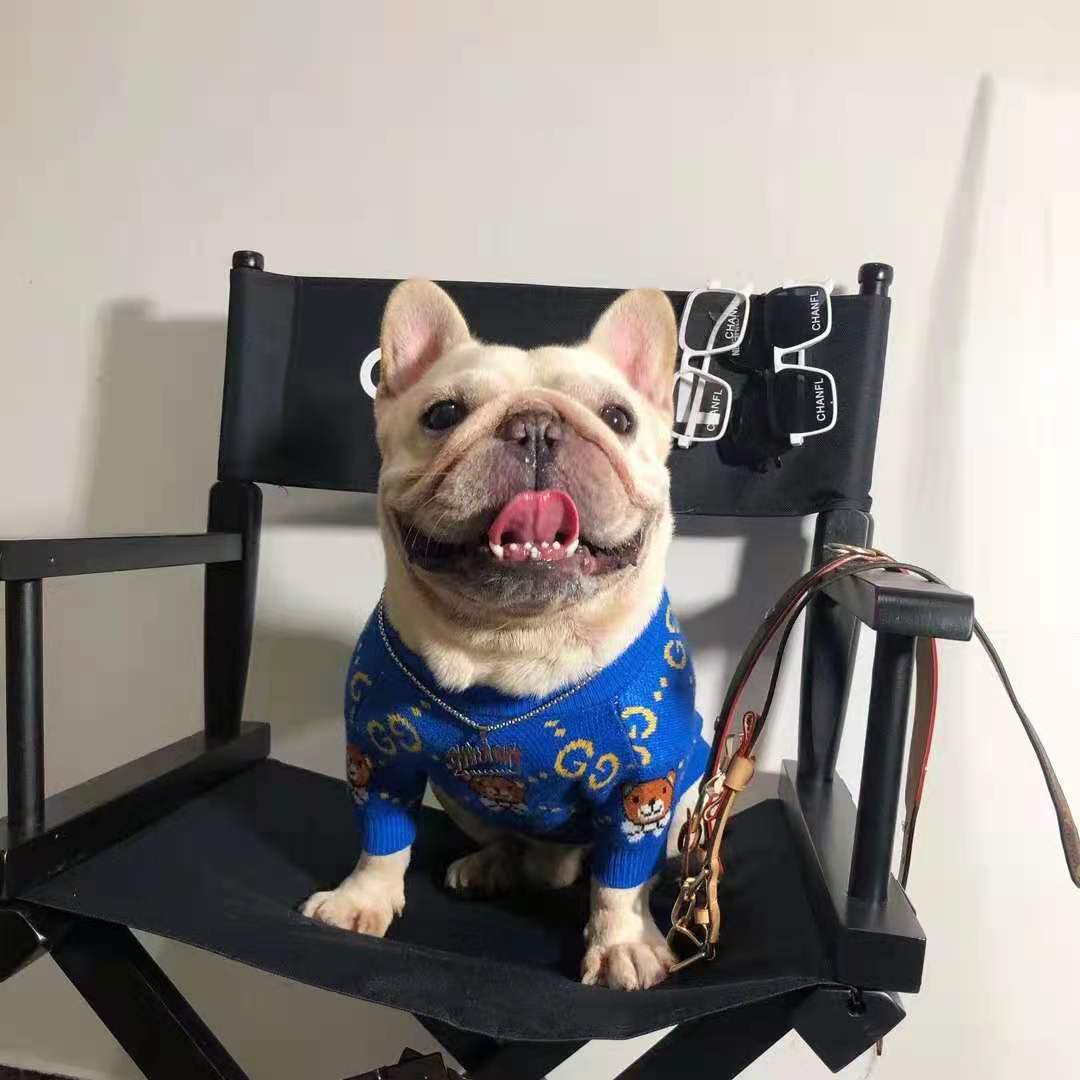 G-G luxury design pet dog sweater