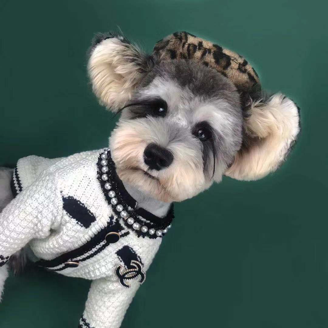 Luxury design pet dog sweater