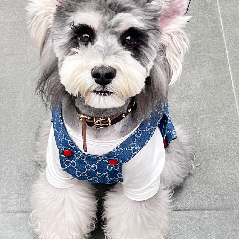 G-G Luxury Design Pet Dog Dress Clothes
