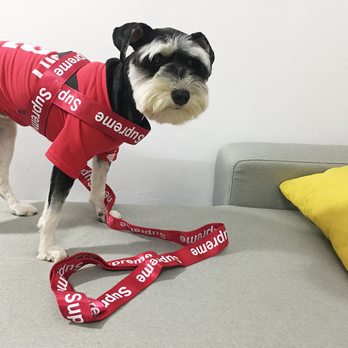 S-P Fashion luxury pet supplies accessories