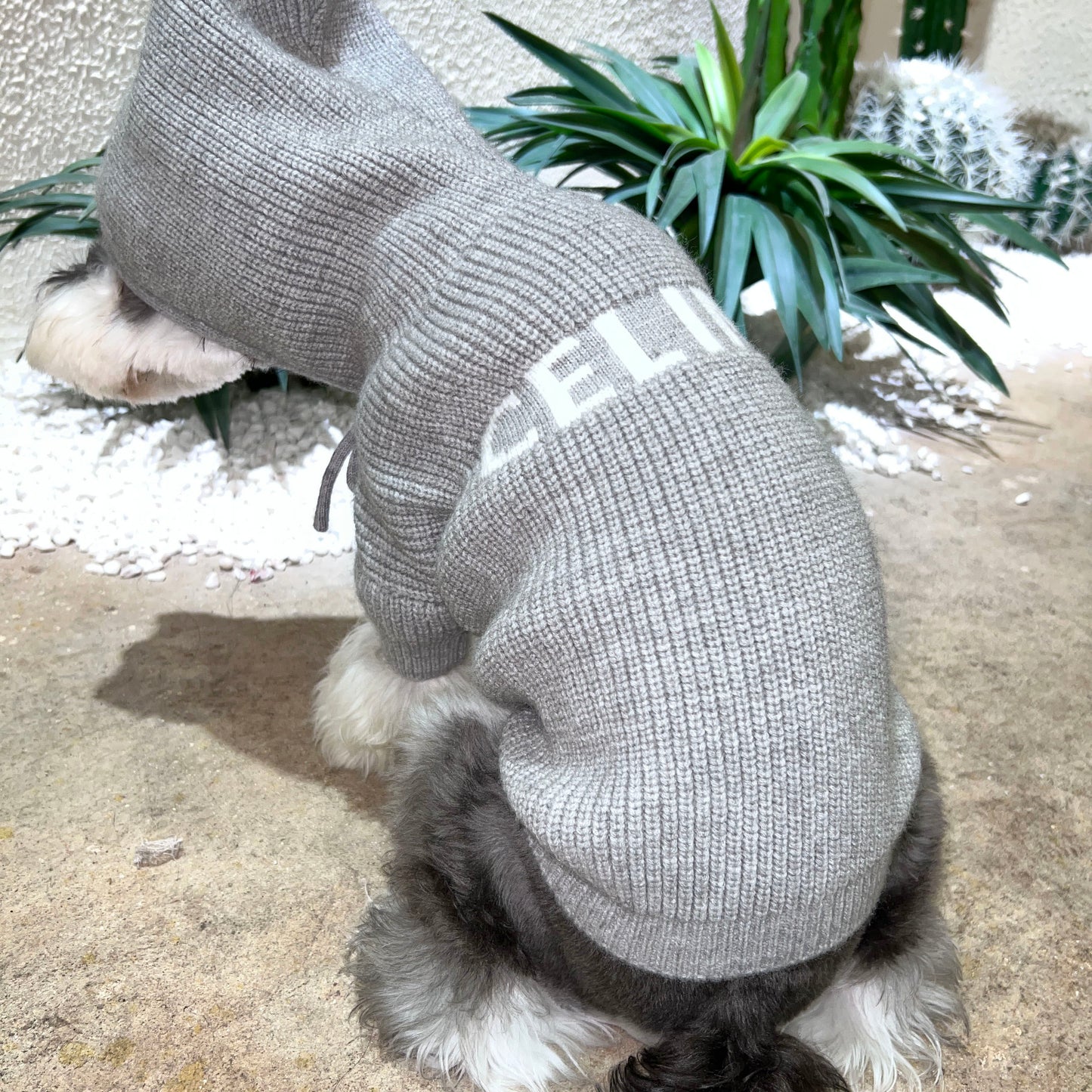 Chewline Knit Hoodie