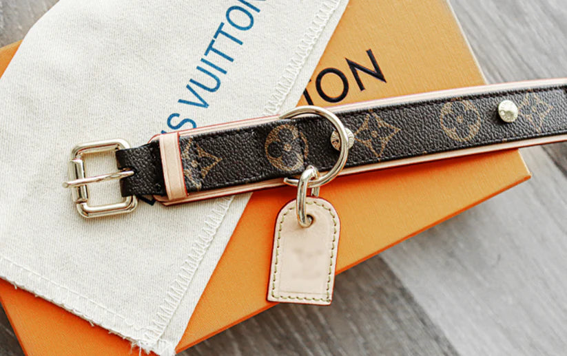 LL Designer Luxury Dog Collar Set