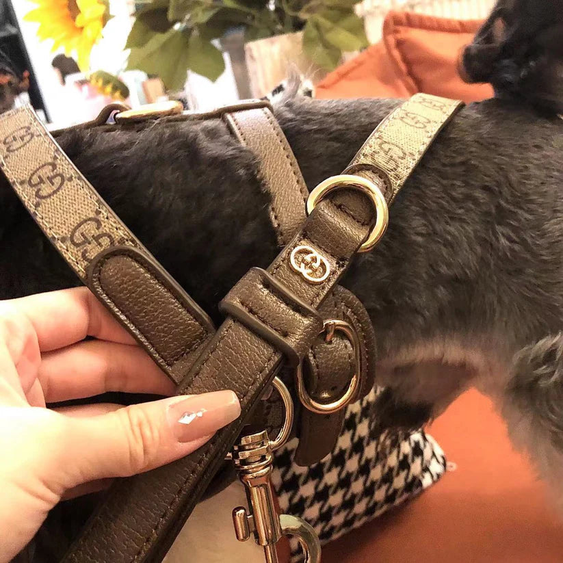 GG LEATHER POOCHI HARNESS, COLLAR & LEAD