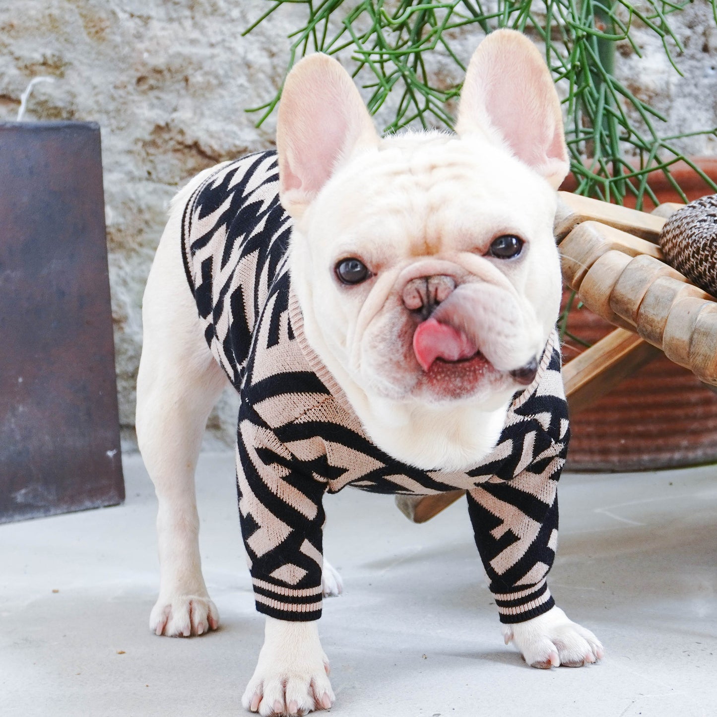 F-F Luxury Design Pet Dog Sweater