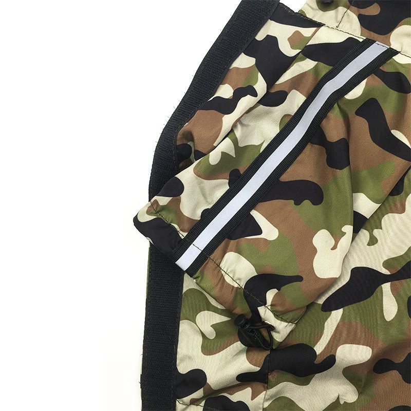Hoodie Luxury Design