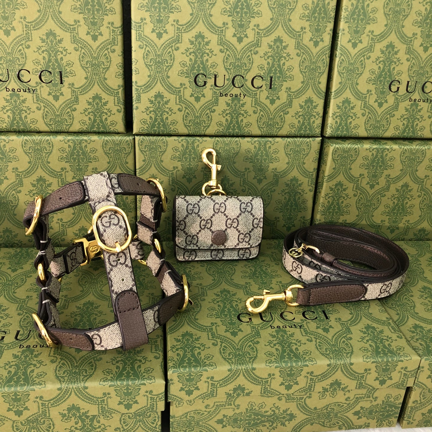 Goochi Monogram Pouch, Harness & Leash