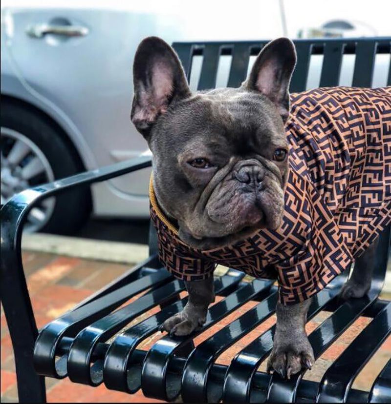 F-D luxury design pet dog T-shirt