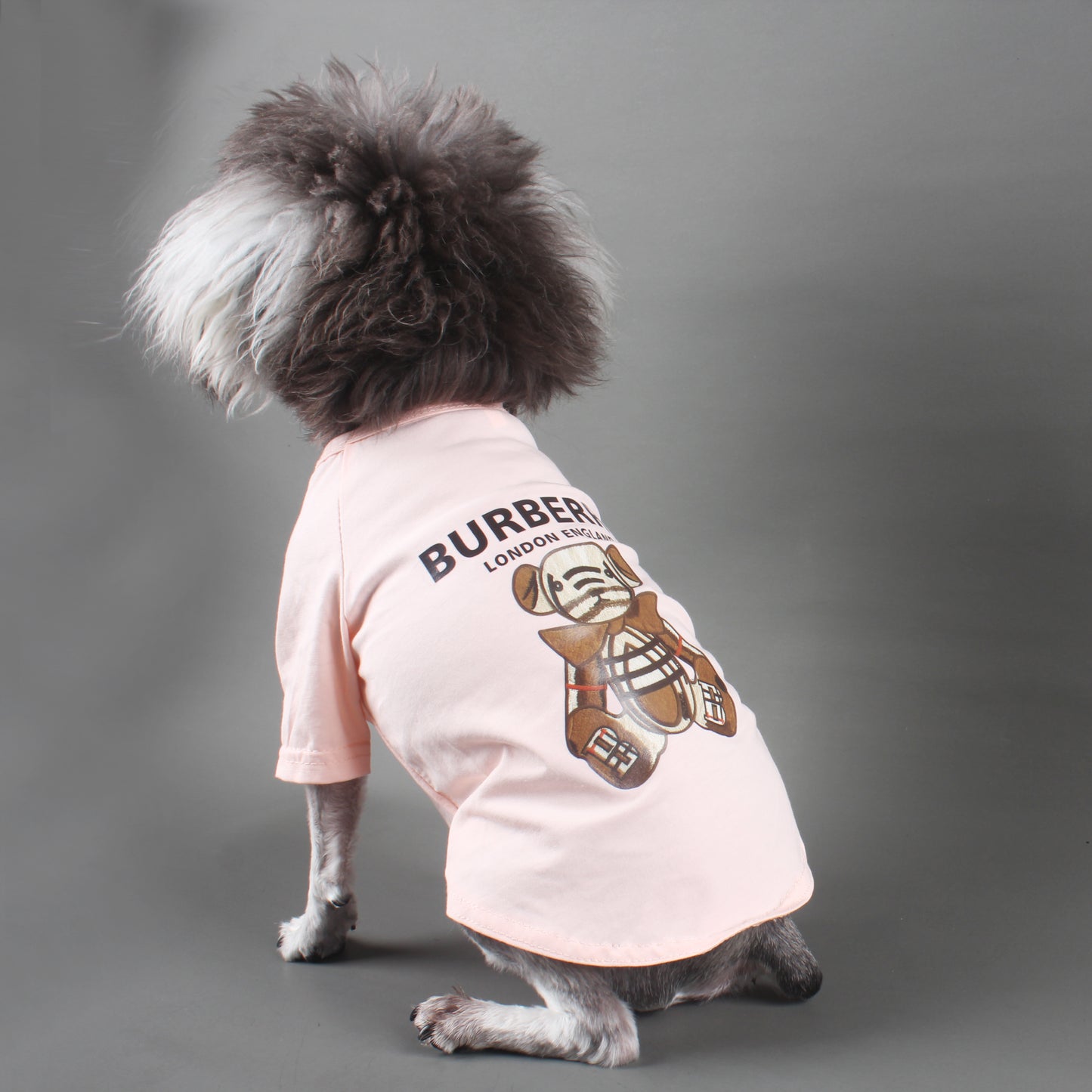 B-B luxury design pet dog T-shirt