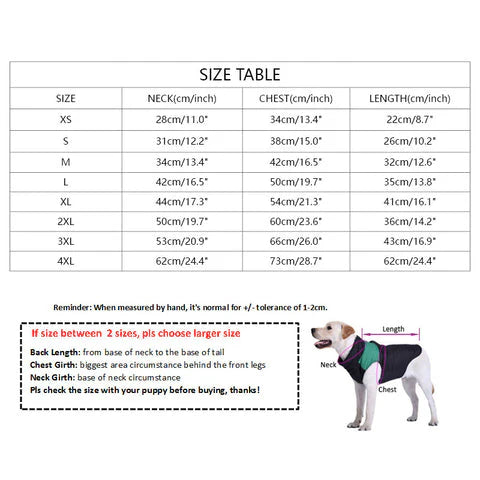 Pawda Black Hoodie Jacket