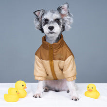 TNF-Luxury design pet dog jacket