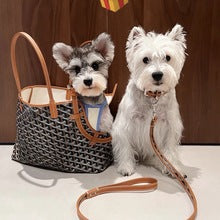 G-Y Luxury Design Pet Dog bag