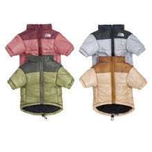 TNF-Luxury design pet dog jacket
