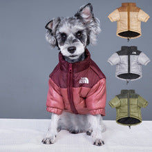 TNF-Luxury design pet dog jacket