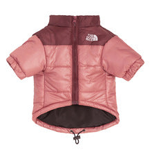 TNF-Luxury design pet dog jacket