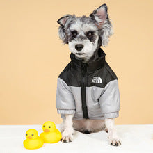 TNF-Luxury design pet dog jacket