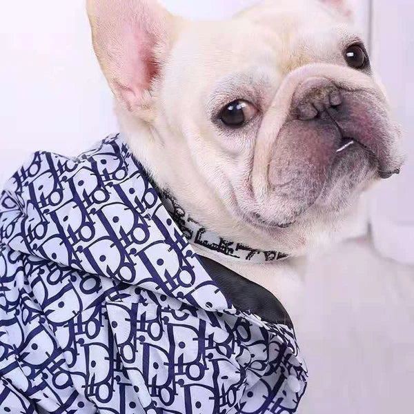 Chewing Dogior Monogram Windbreaker