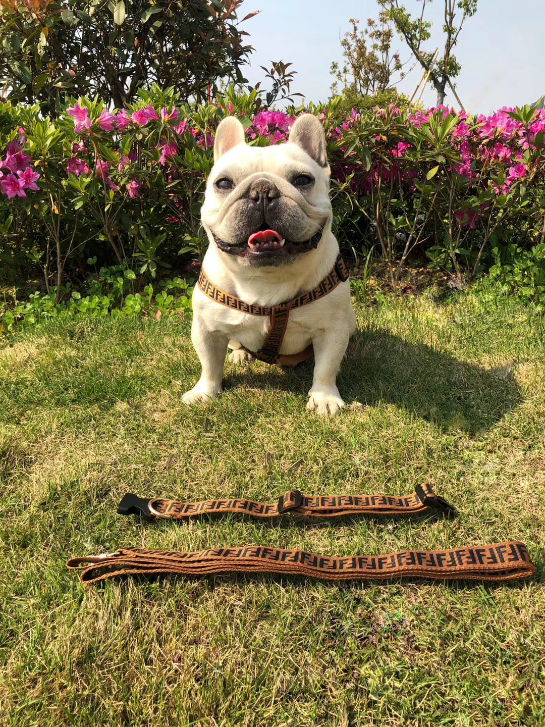 F-D Fashion luxury pet supplies accessories