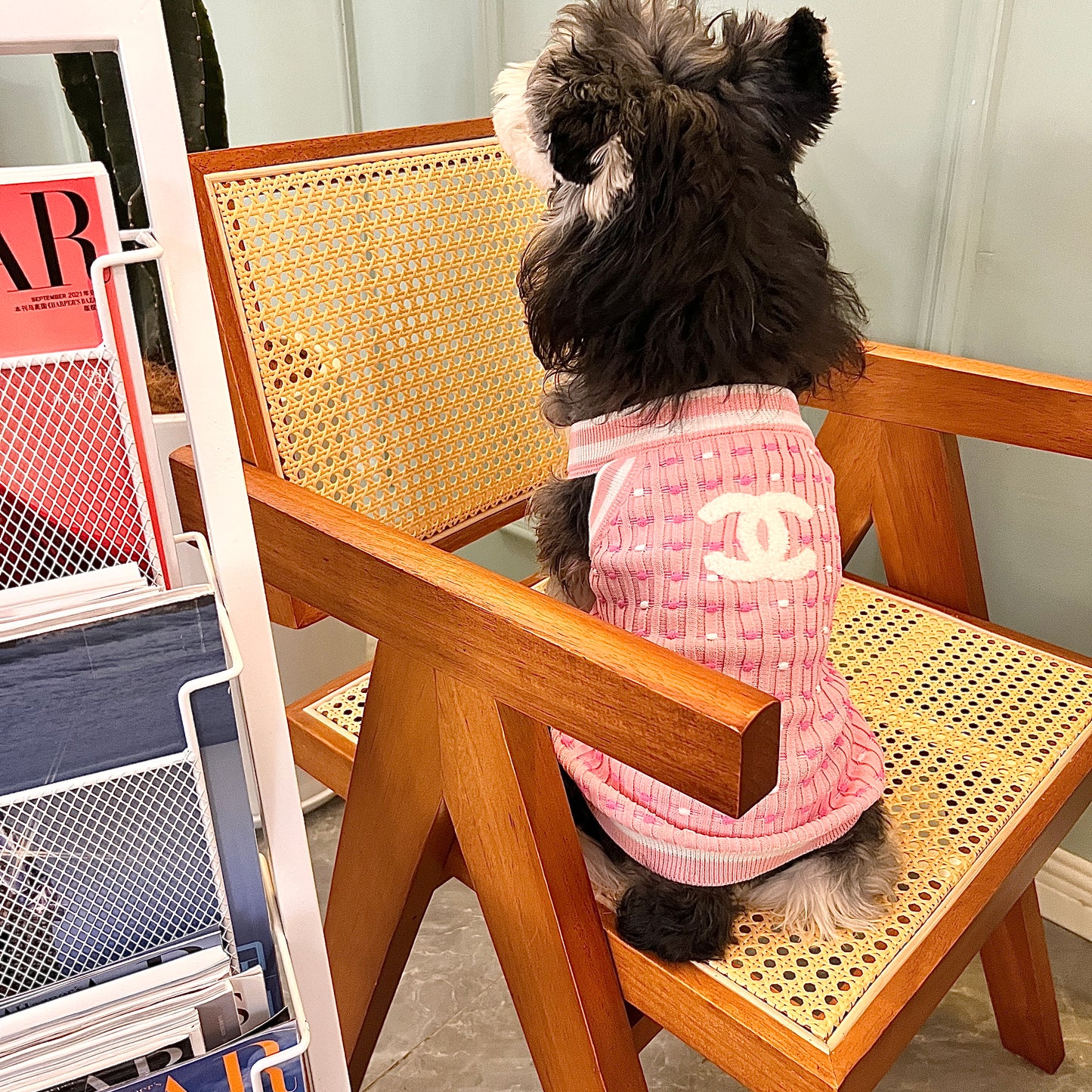 Chewnel Luxury Design Pet Dog Sweater