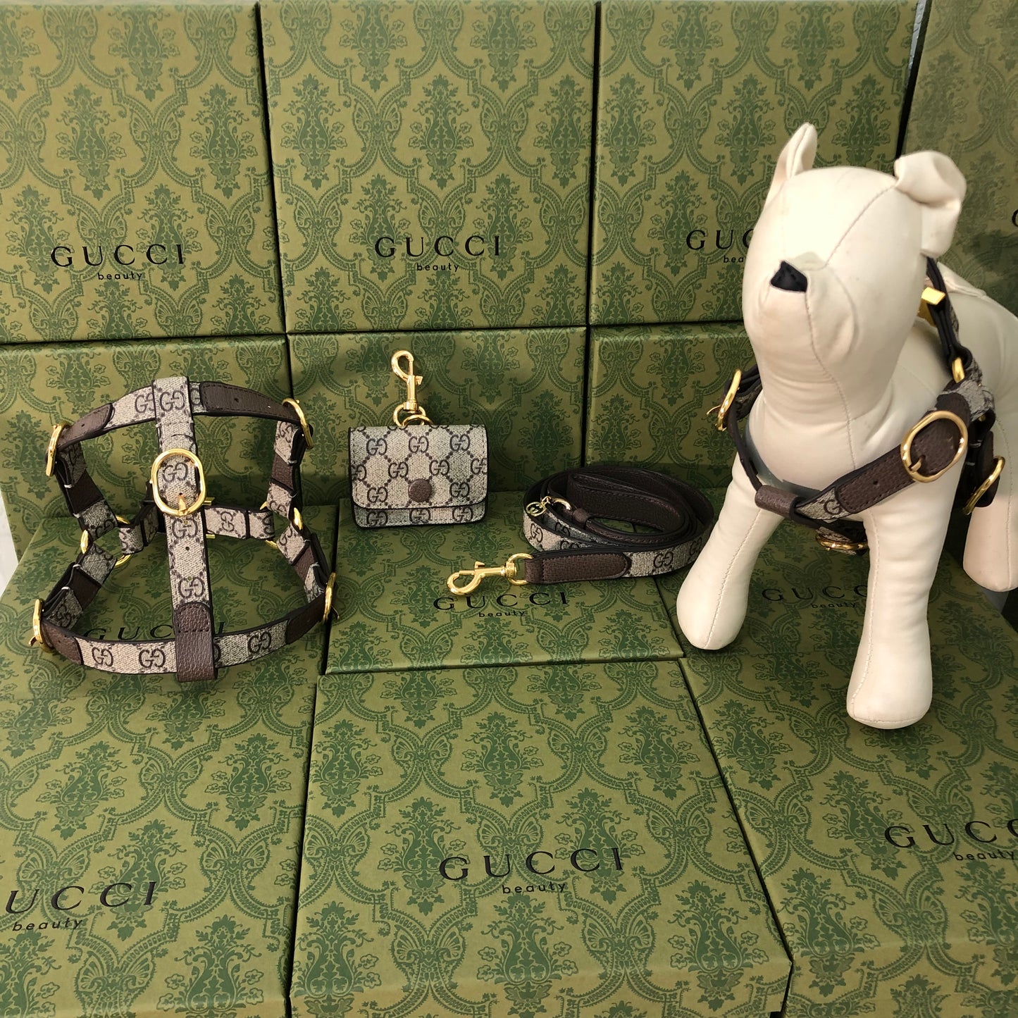 Goochi Monogram Pouch, Harness & Leash