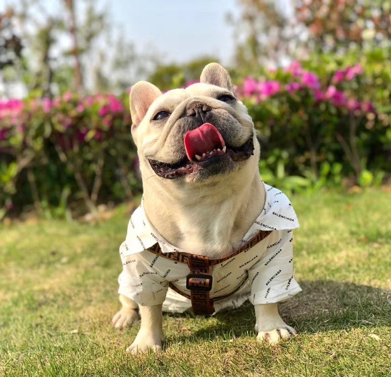 F-D Fashion luxury pet supplies accessories