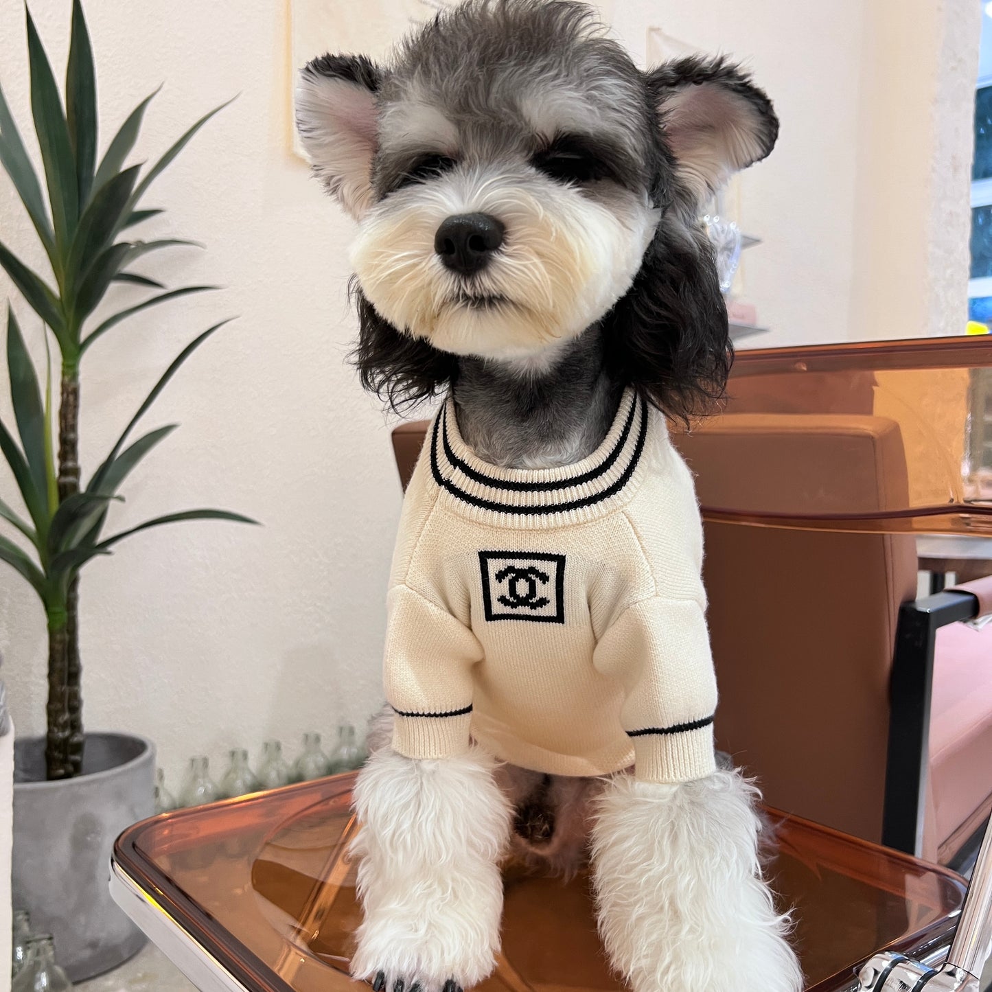 C-N luxury design pet dog sweater