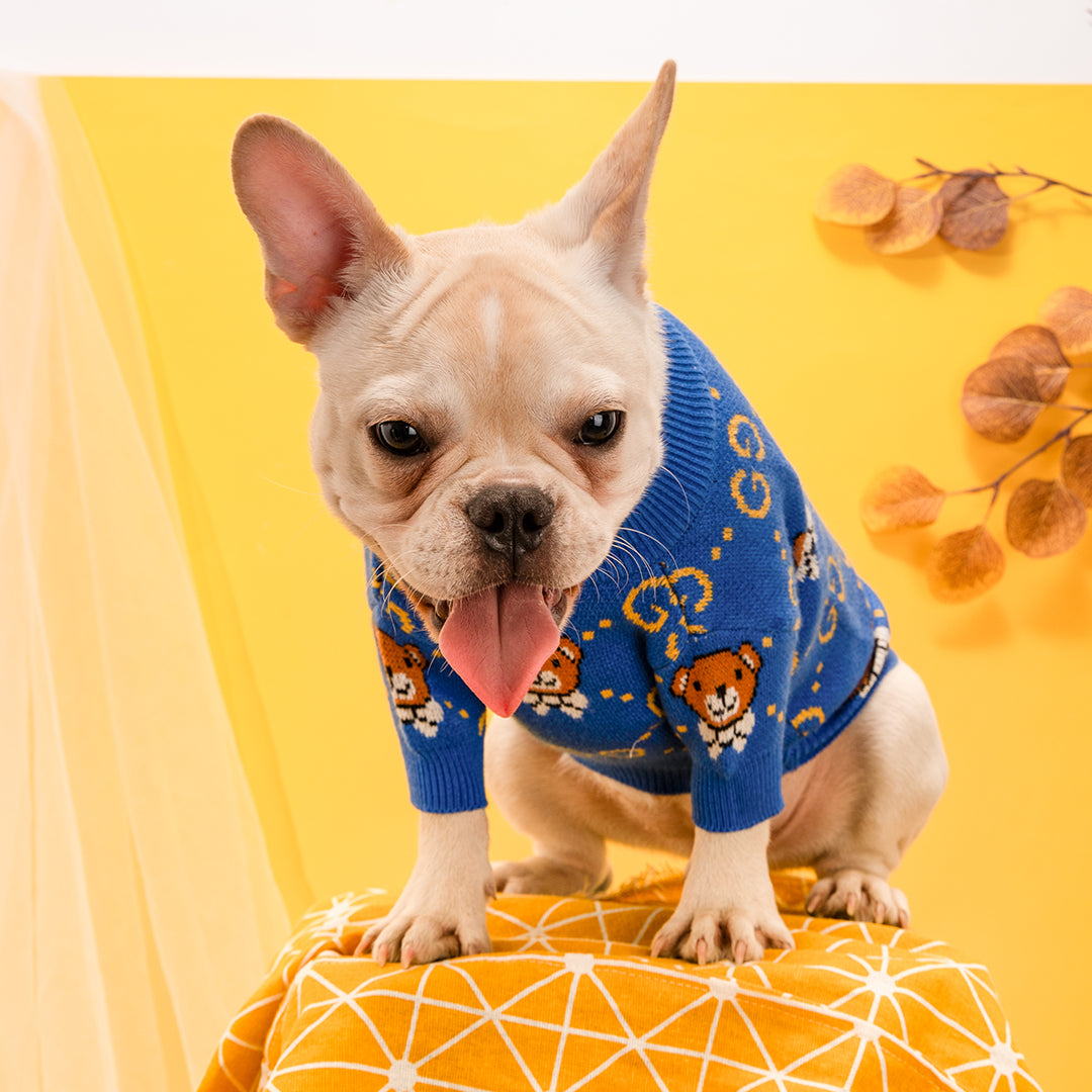 G-G luxury design pet dog sweater