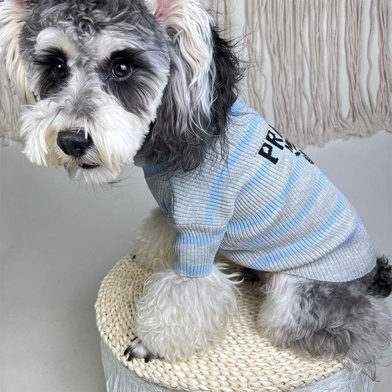 P-D luxury design pet dog sweater