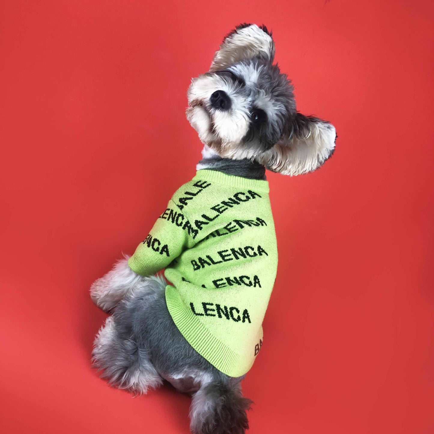 Balenga Luxury Design Pet Dog Sweater
