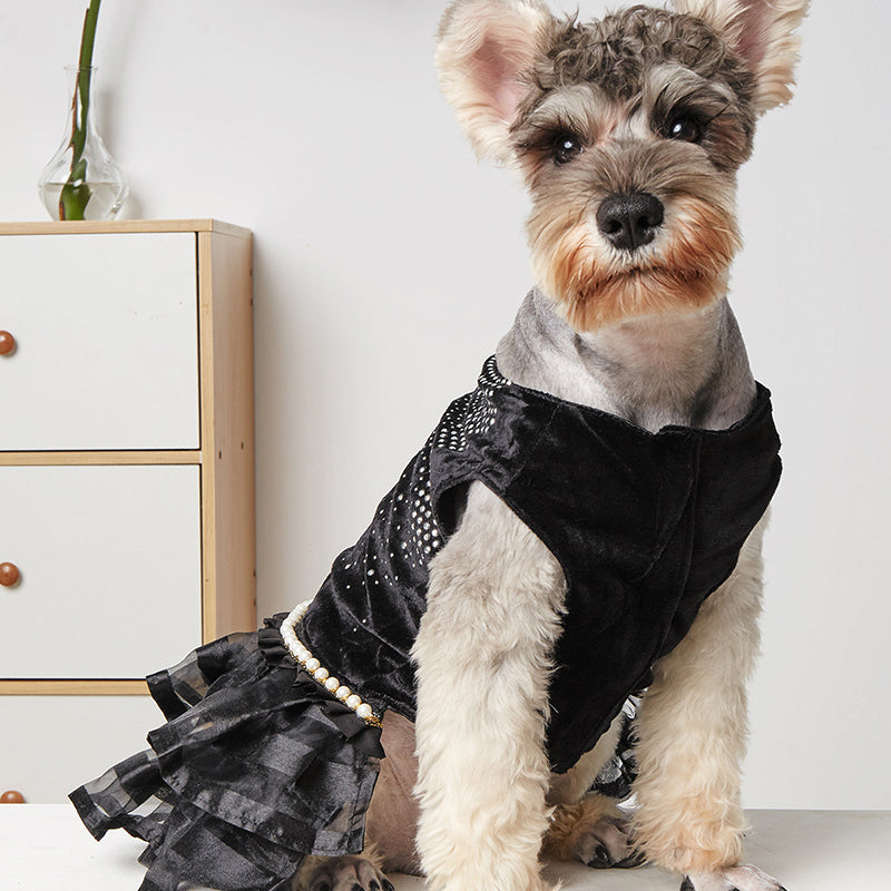 Luxury Design Pet Dog Dress Clothes