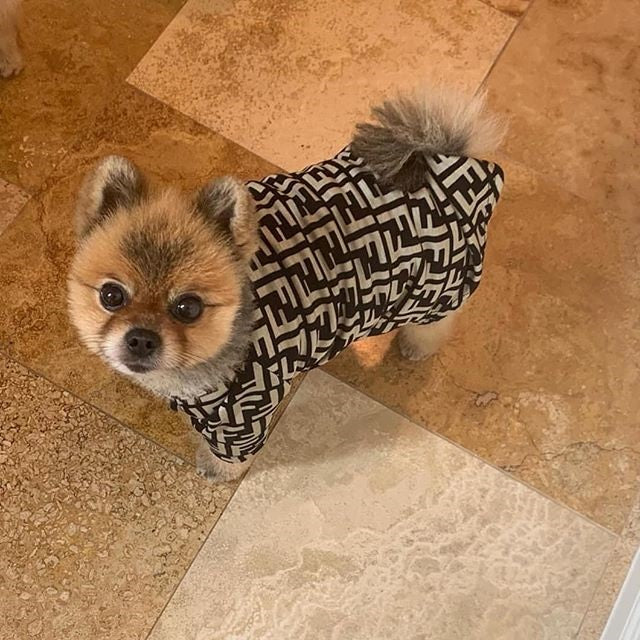 F-D luxury design pet dog T-shirt