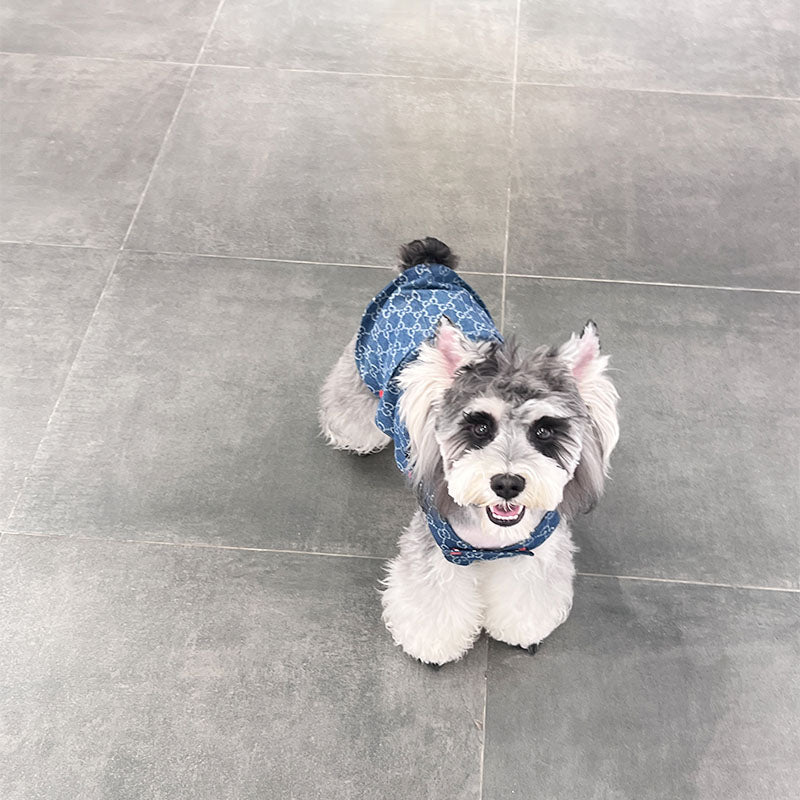 G-G Luxury Design Pet Dog Dress Clothes