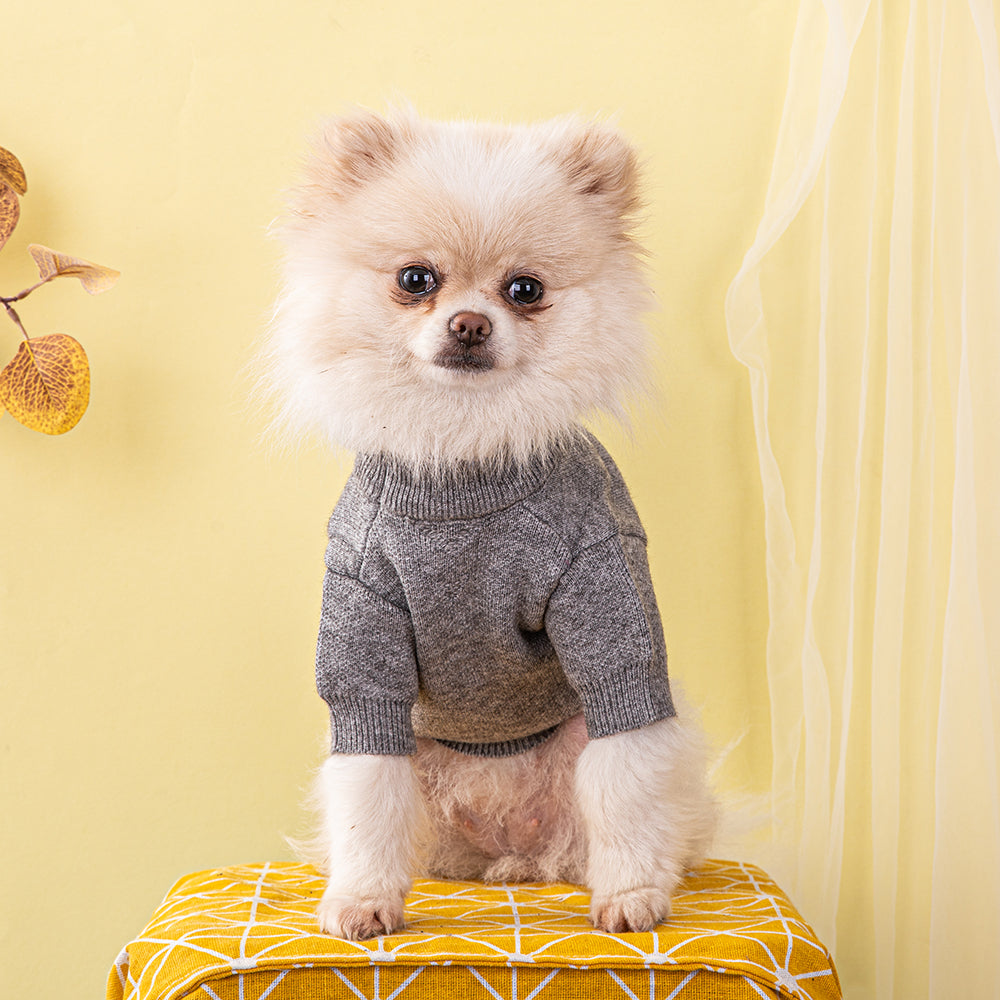 P-D luxury design pet dog sweater