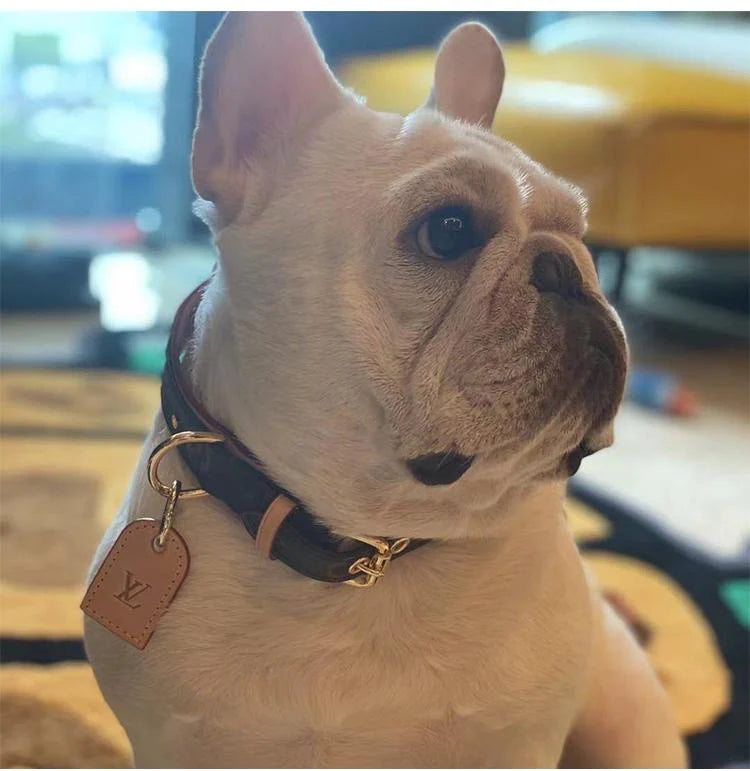 LL Designer Luxury Dog Collar Set