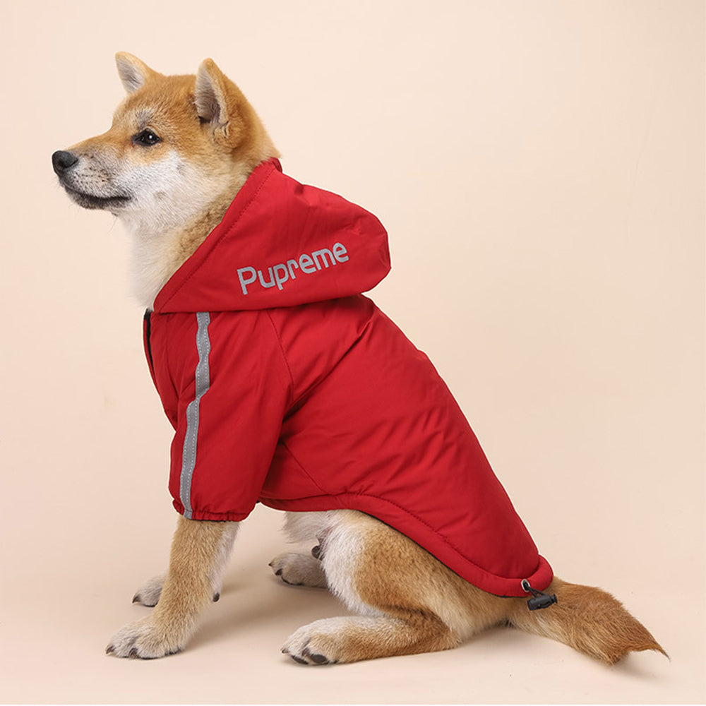 TNF-hoodie luxury design