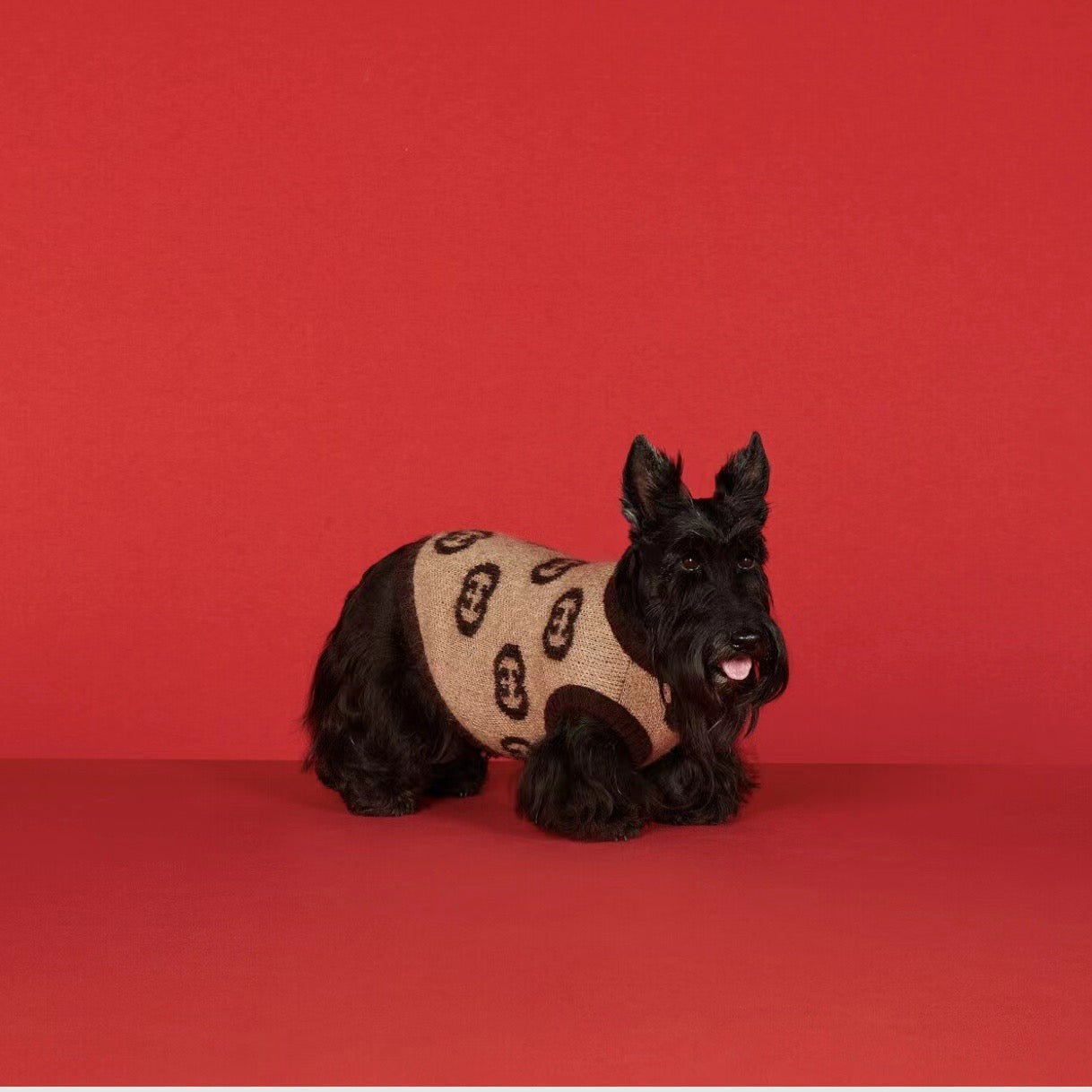 G-G luxury design pet dog sweater