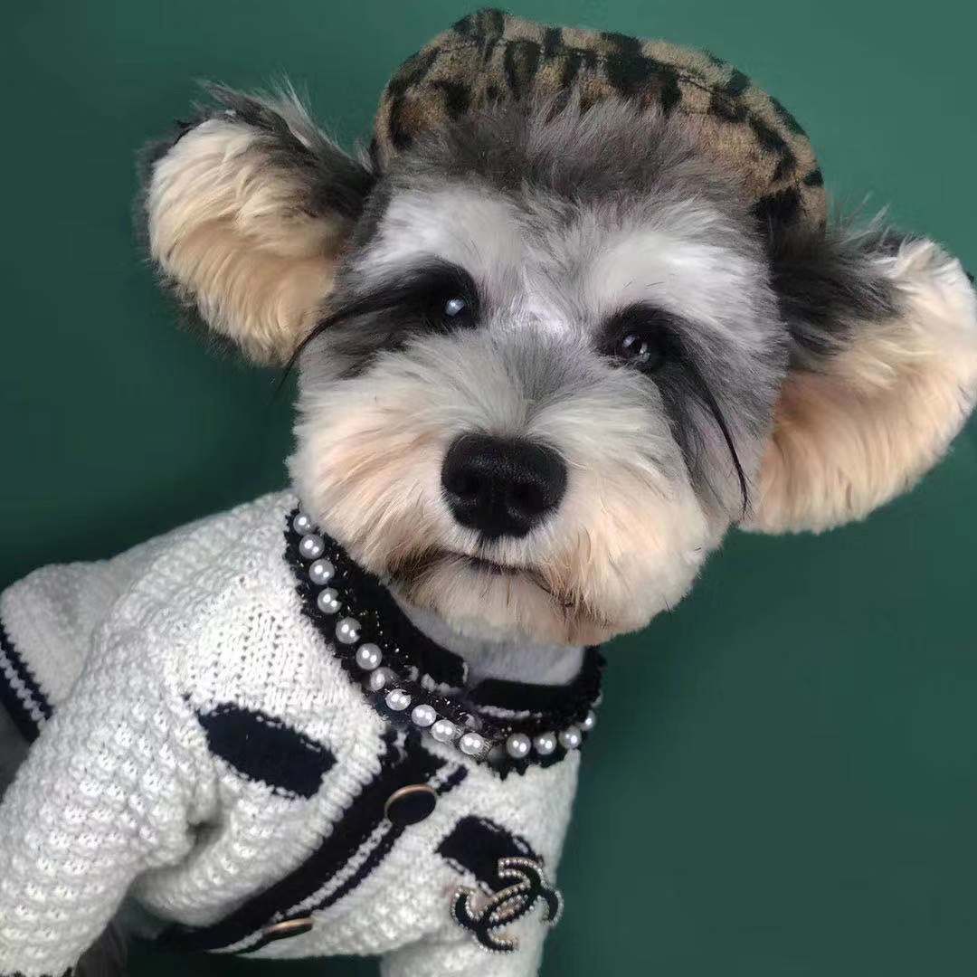 Luxury design pet dog sweater