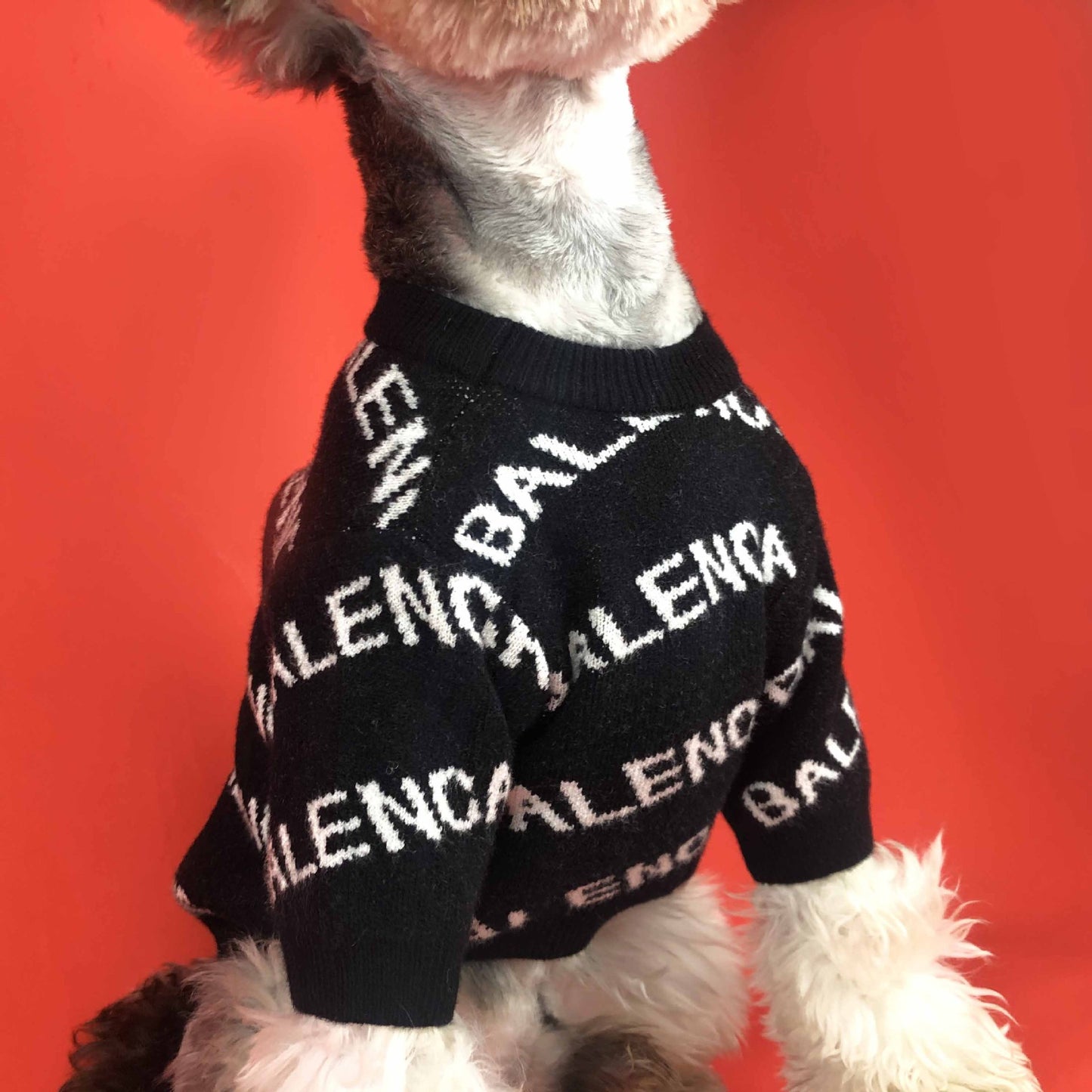 Balenga Luxury Design Pet Dog Sweater
