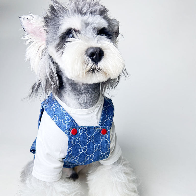 G-G Luxury Design Pet Dog Dress Clothes