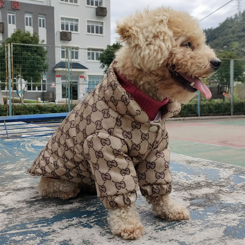 G-G luxury design pet dog jacket clothes