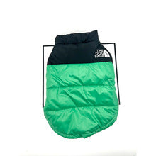 TFD-Luxury design pet dog jacket