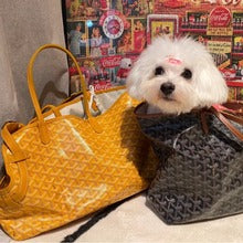 G-Y Luxury Design Pet Dog bag