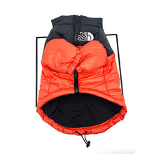 TFD-Luxury design pet dog jacket