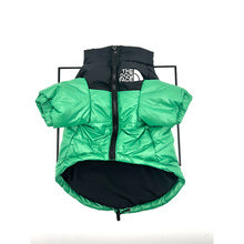 TFD-Luxury design pet dog jacket