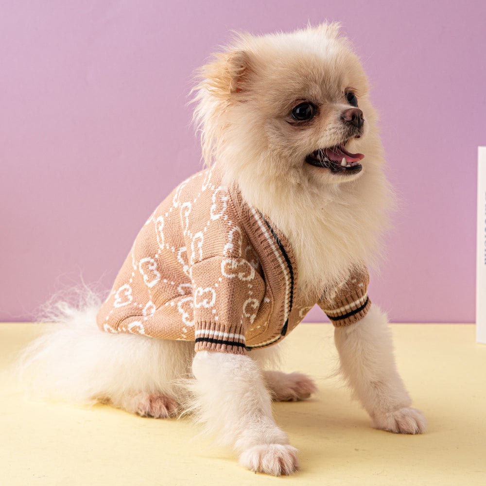 G-G luxury design pet dog sweater