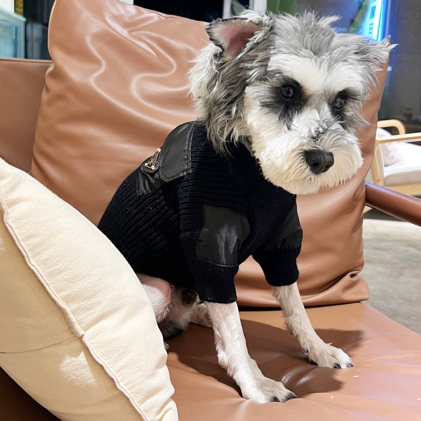 Pawda Pocket Military Sweater
