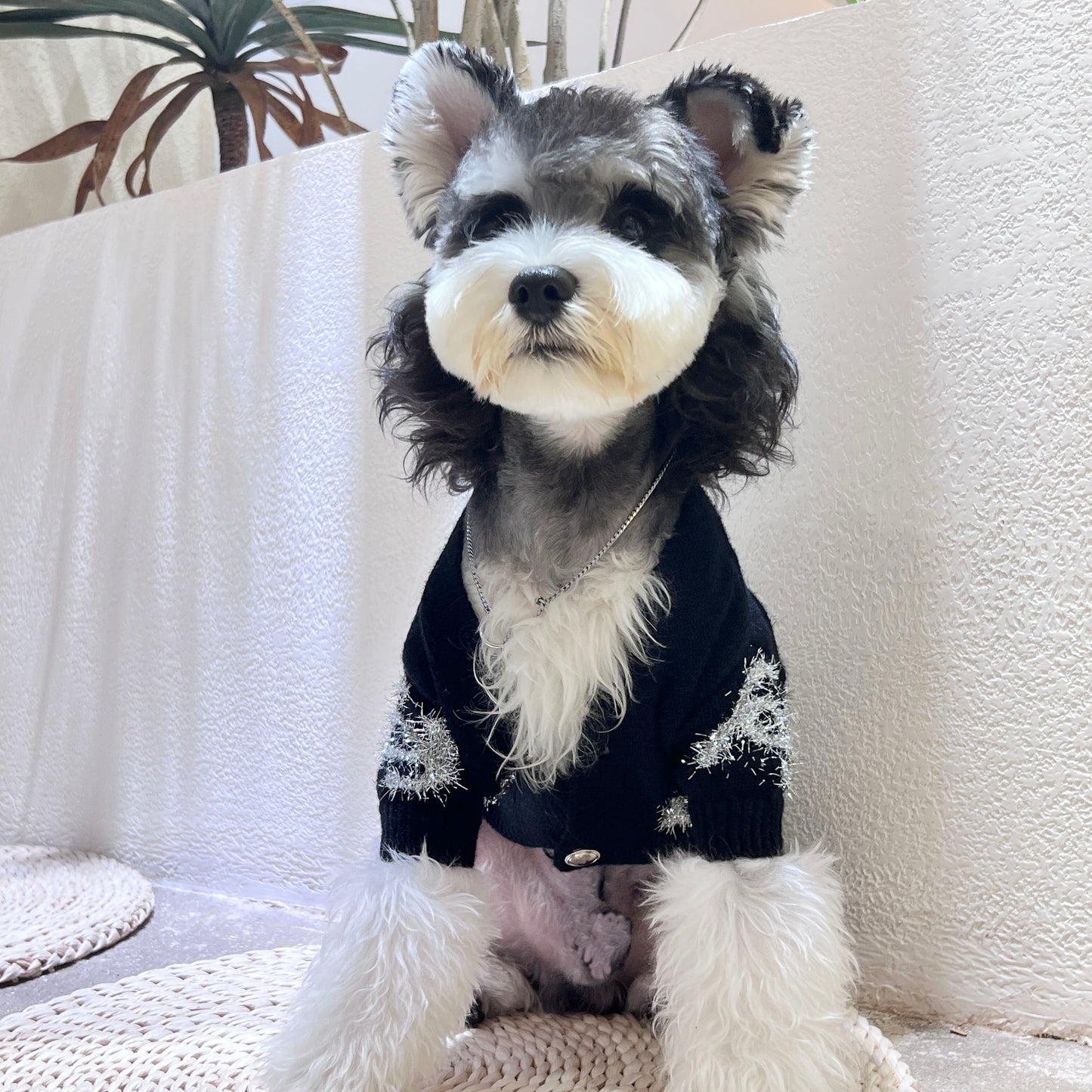 Chewnel Luxury Design Pet Dog Sweater