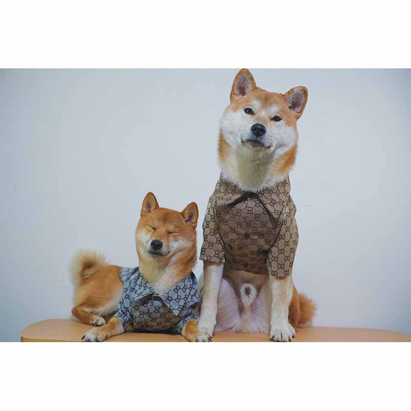 G-G luxury design pet dog T-shirt