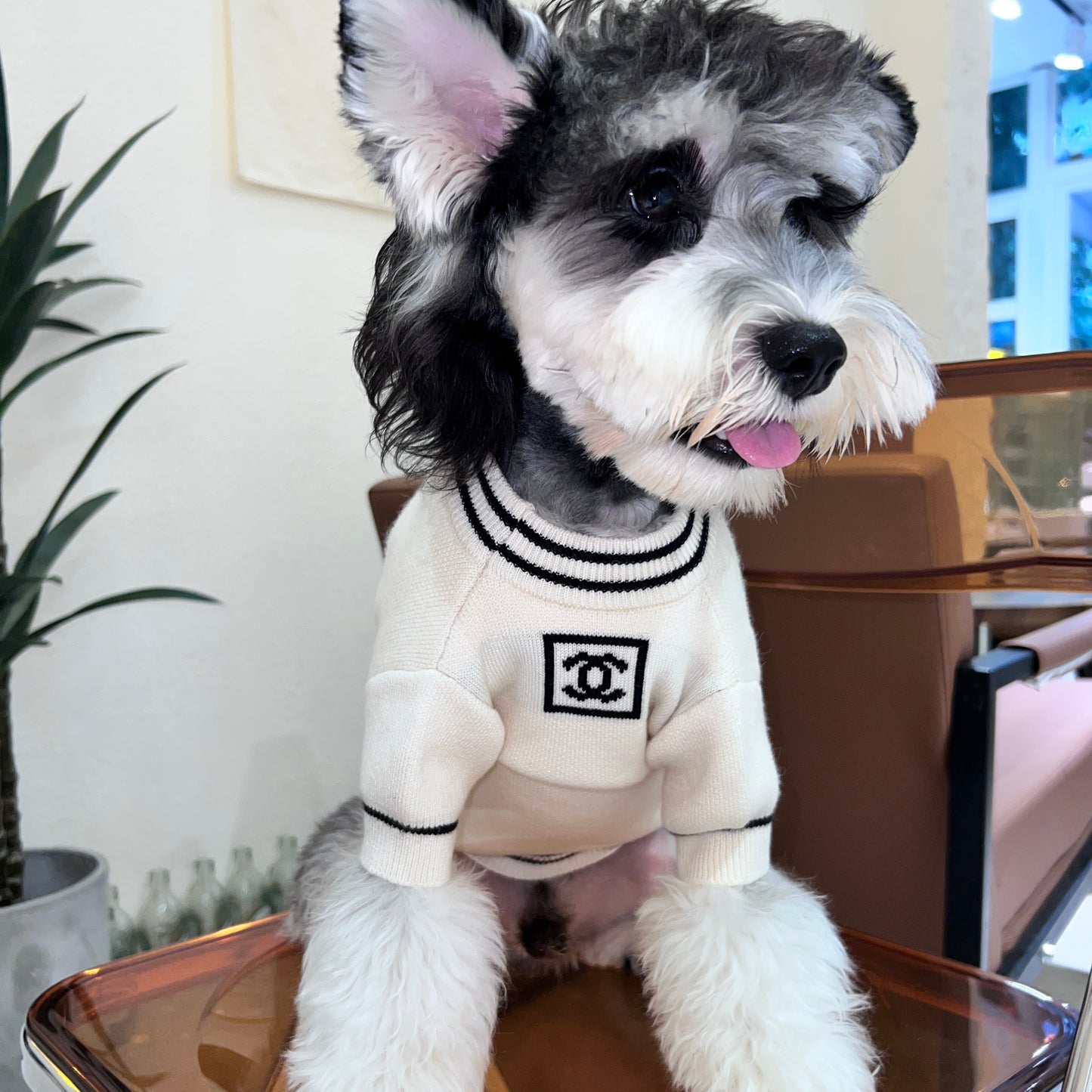 C-N luxury design pet dog sweater